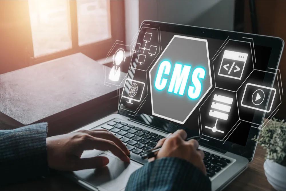 CMS website design